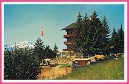 Chesières Villars / Ollon Hotel Pension Richemont