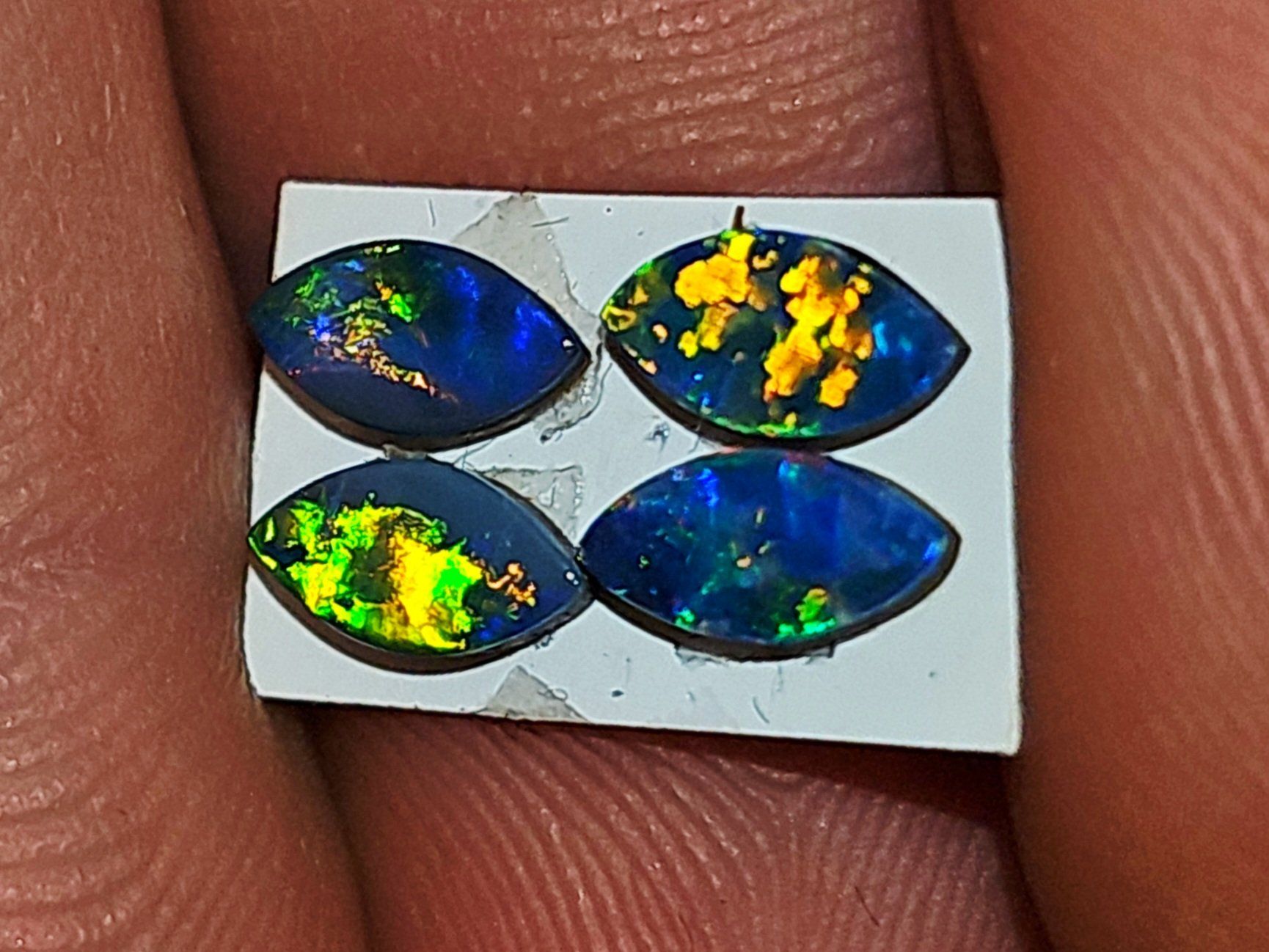 Pietre preziose: 4 Australische Opal Dubletten – Nuovo e nell'imballaggio originale da Uerkheim venduto da Winwinner