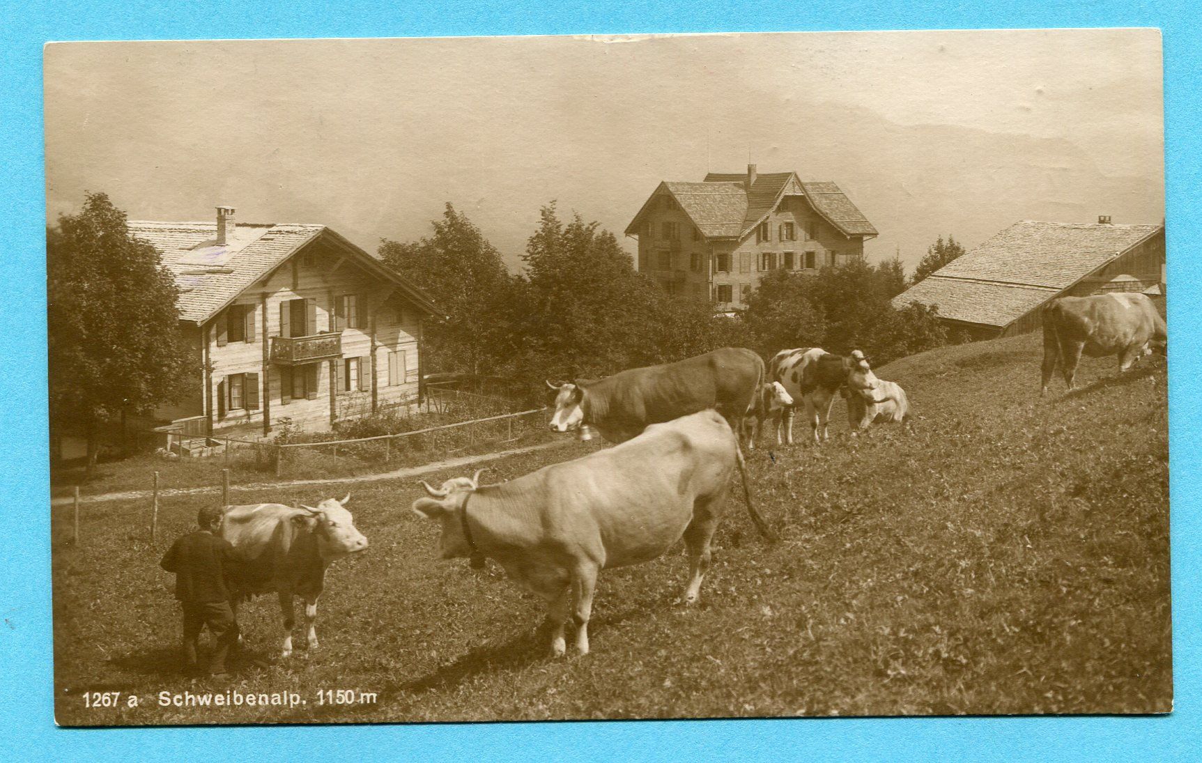 Cartoline postali: Schweibenalp 1922 – Usato da Opfikon venduto da cleocat-vb