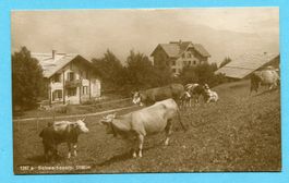 Schweibenalp 1922