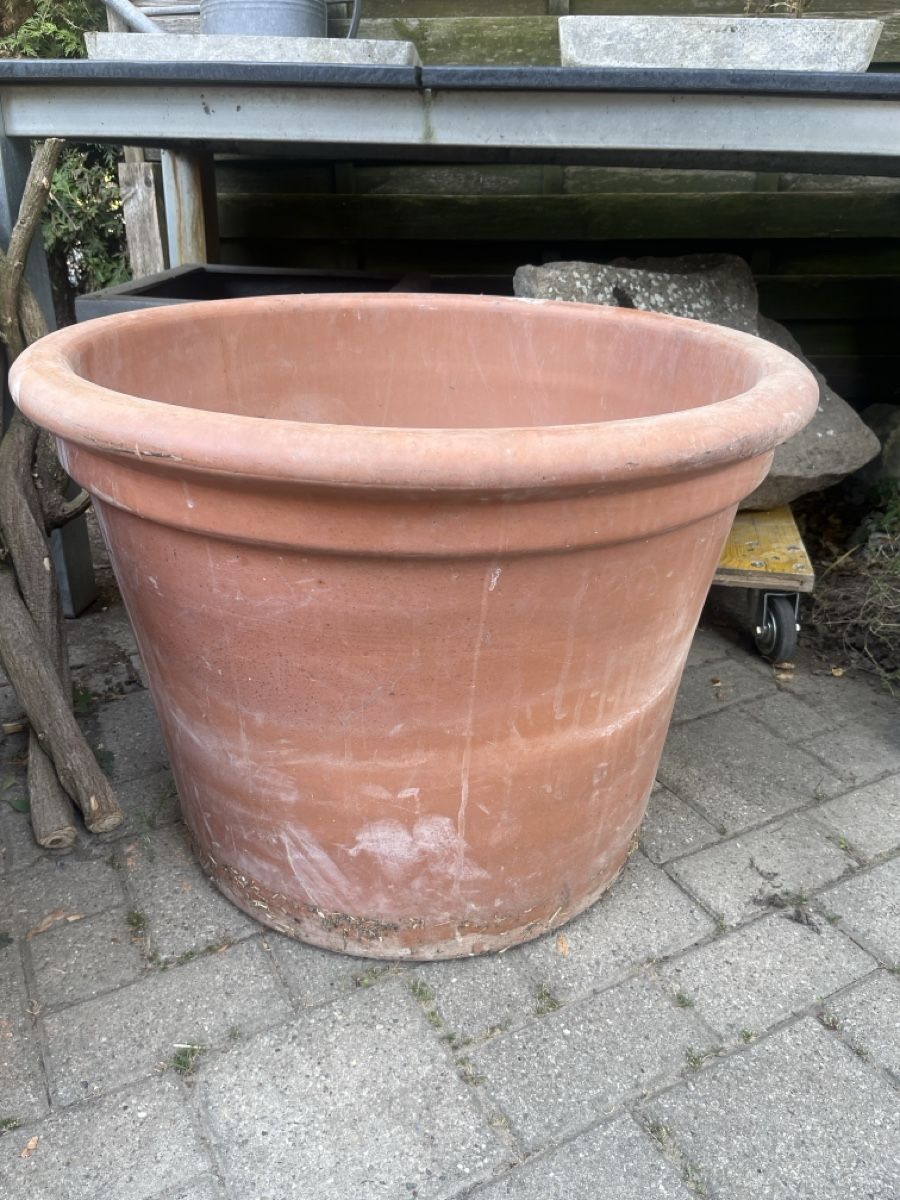 Pots de fleurs: Terrakotta Pflanztopf gross    – Neuf (Voir description) à Stadel(Winterthur) par prutschi