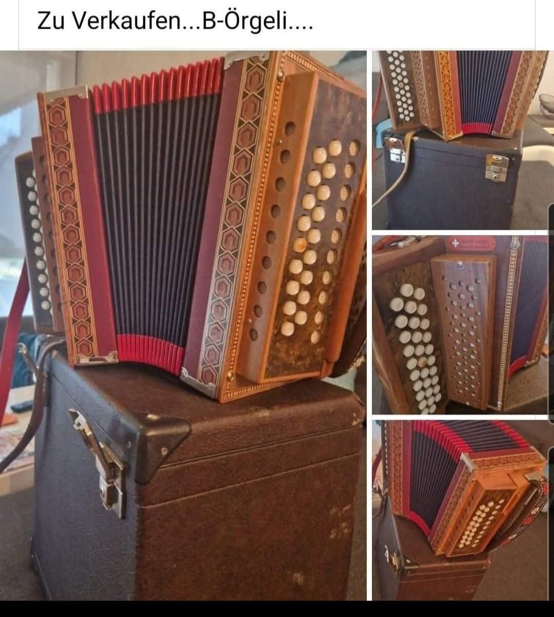 Strumenti musicali: Schwizerörgeli Zanin – Usato da Bern venduto da marcopolo80