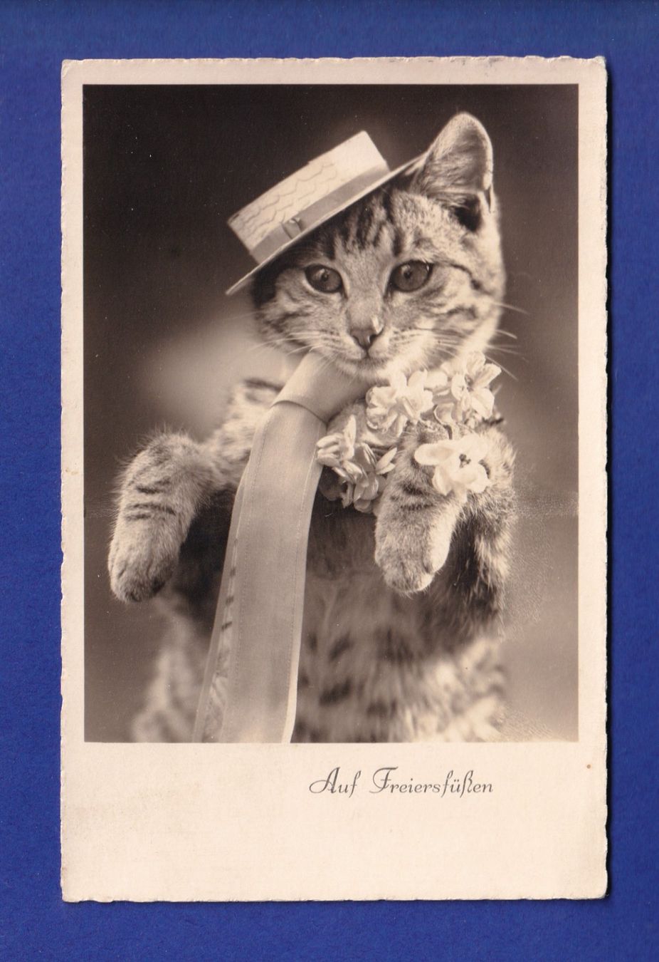Cartes postales: CHAT - Chapeau – D'occasion à Pully par nicecards-shop