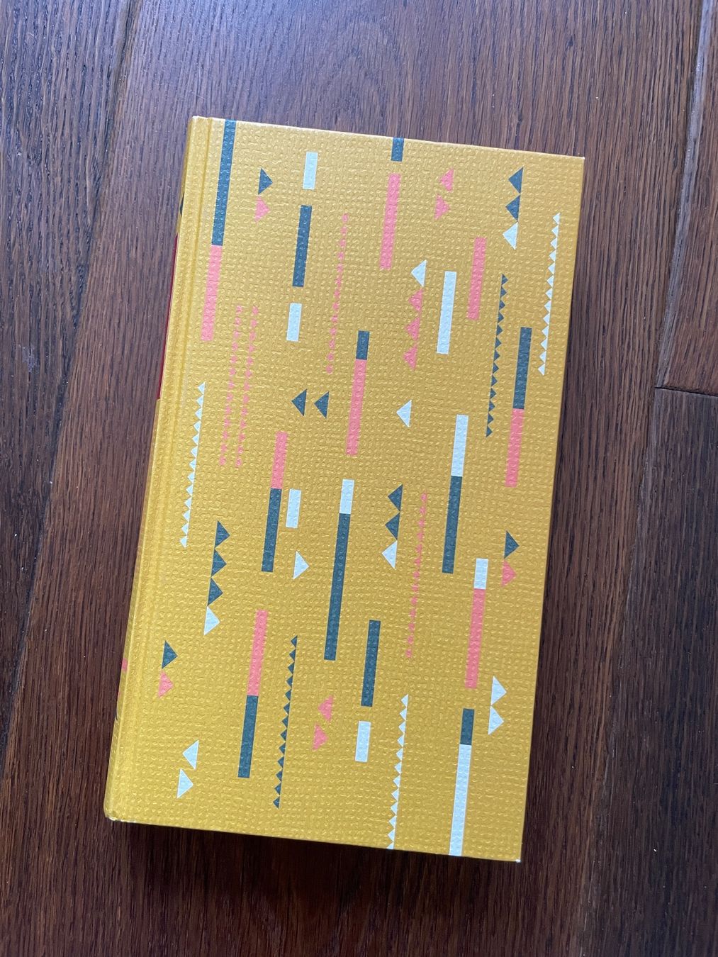 Livres: Pfade in der Wildnis - Grey Owl – Neuf (Voir description) à Winterthur par ttltc 2