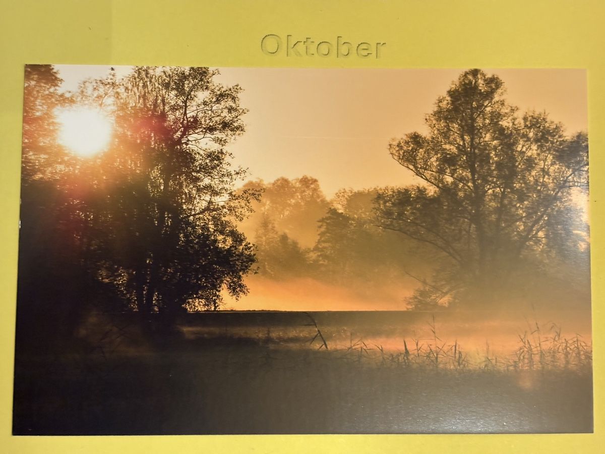 Cartoline postali: AK von Riedlandschaft – Usato da Rümlang venduto da Kartenpost1
