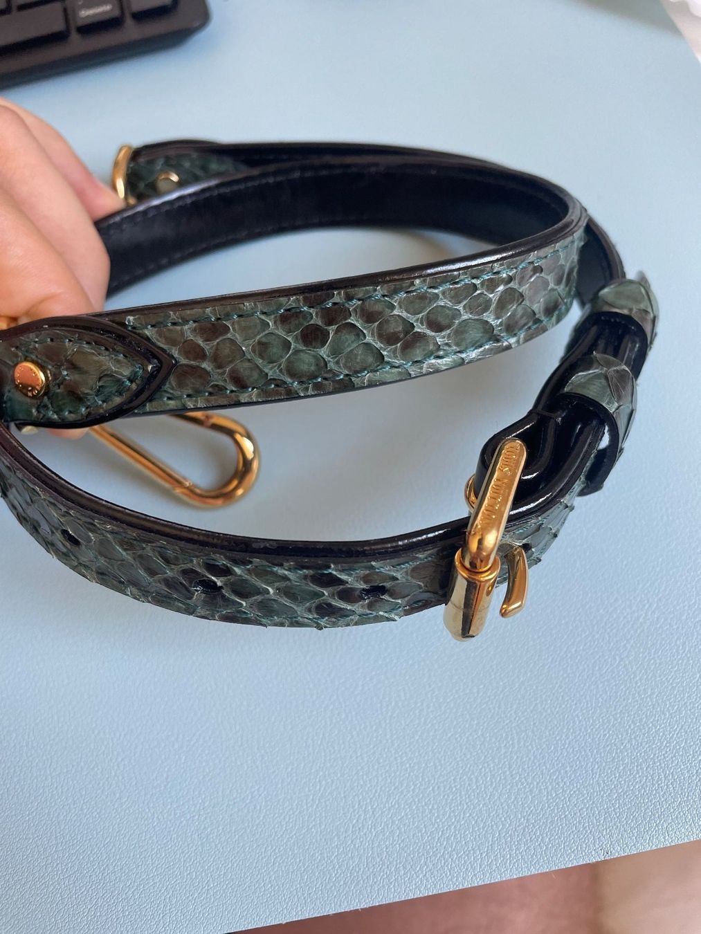 Louis Vuitton Altro in  Abbigliamento & Accessori: Louis Vuitton shoulder strap in python and black leather – Usato da Baden venduto da ale_9jr2