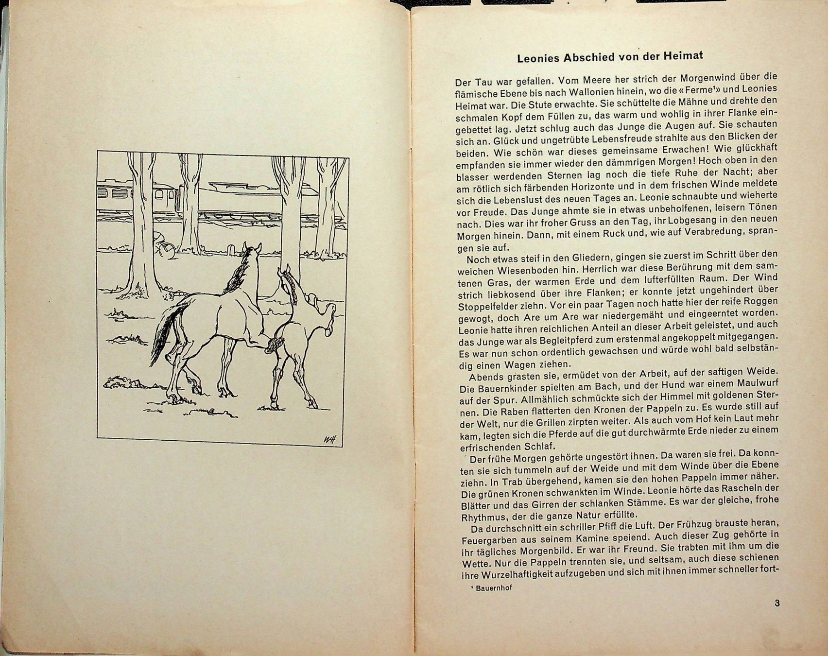 Libri: SJW 515 E. Gerter Leonie das letzte Grubenpferd EA 1955 – Usato da Reitnau venduto da Zaomir 2