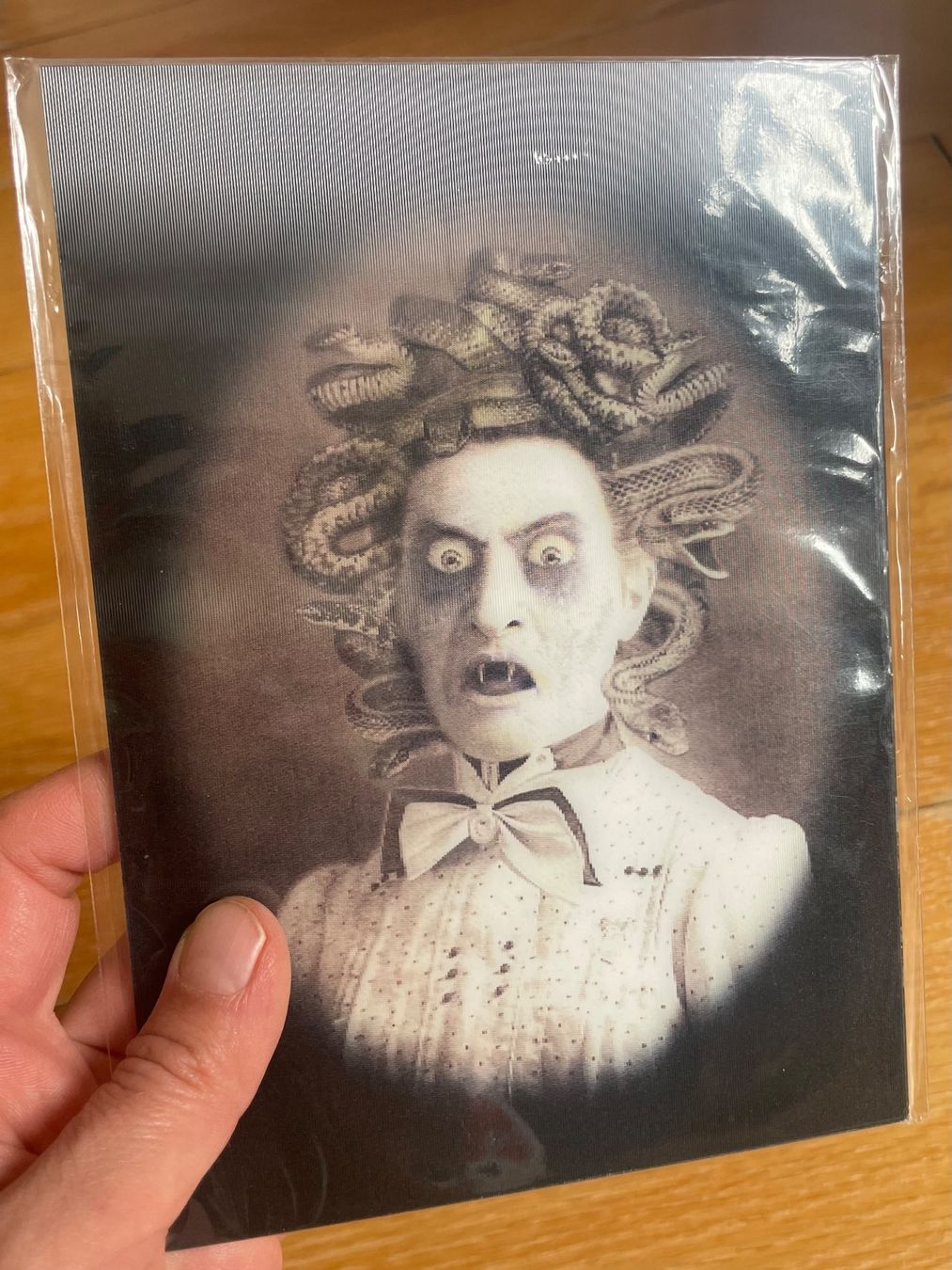 Foto & Immagini: 3D Horror Portrait Bild 5 Stück – Nuovo (secondo la descrizione) da Zürich venduto da iphigenie666 3