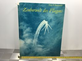 ZAUBERWELT DES FLIEGENS