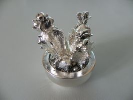 Vase mit Kaktus - Silberlaminat / Marcello Giorgio