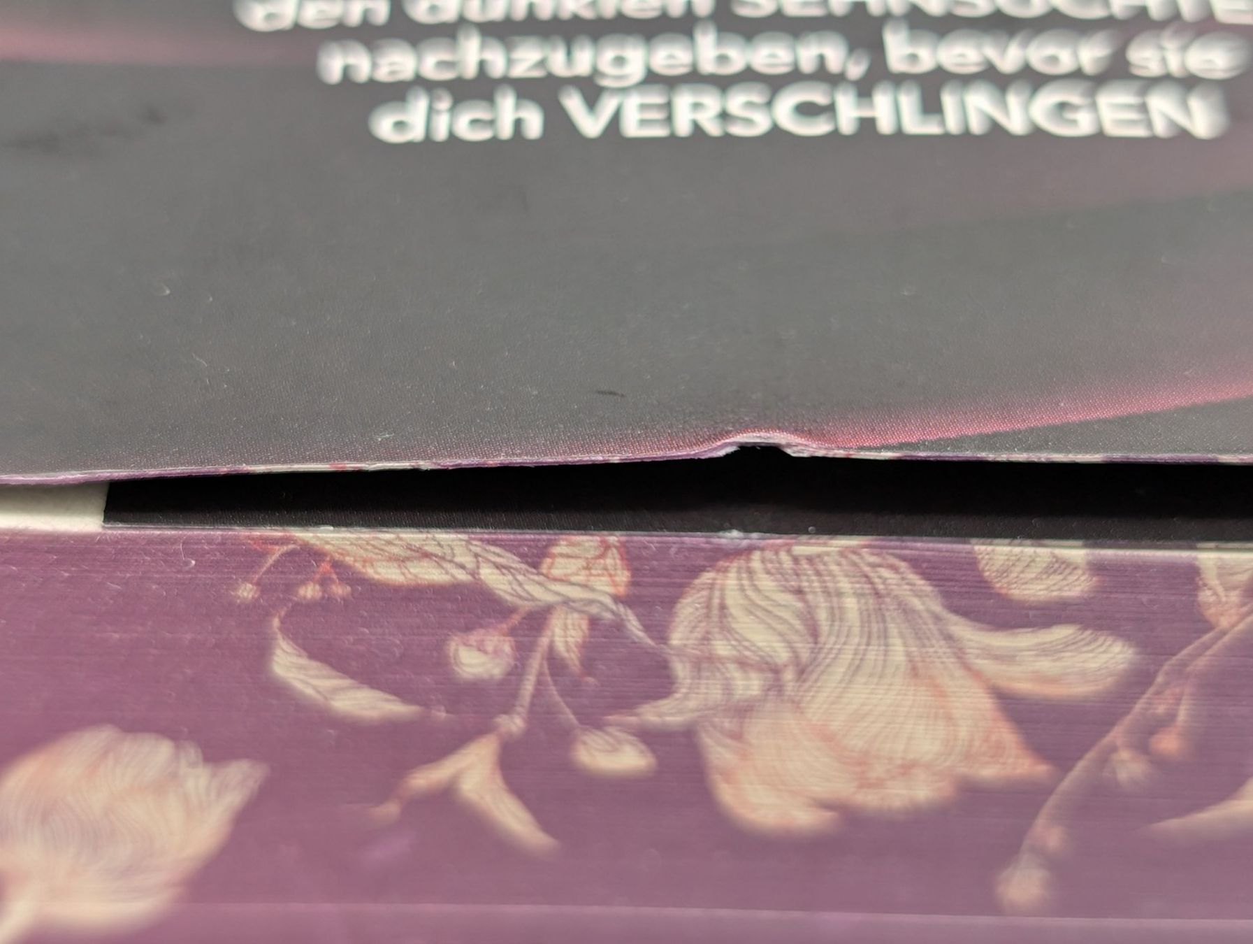 Libri: D.C. Odesza: Dark Gleam Castle – Usato da Wiezikon b.Sirnach venduto da CaRo_Second 7