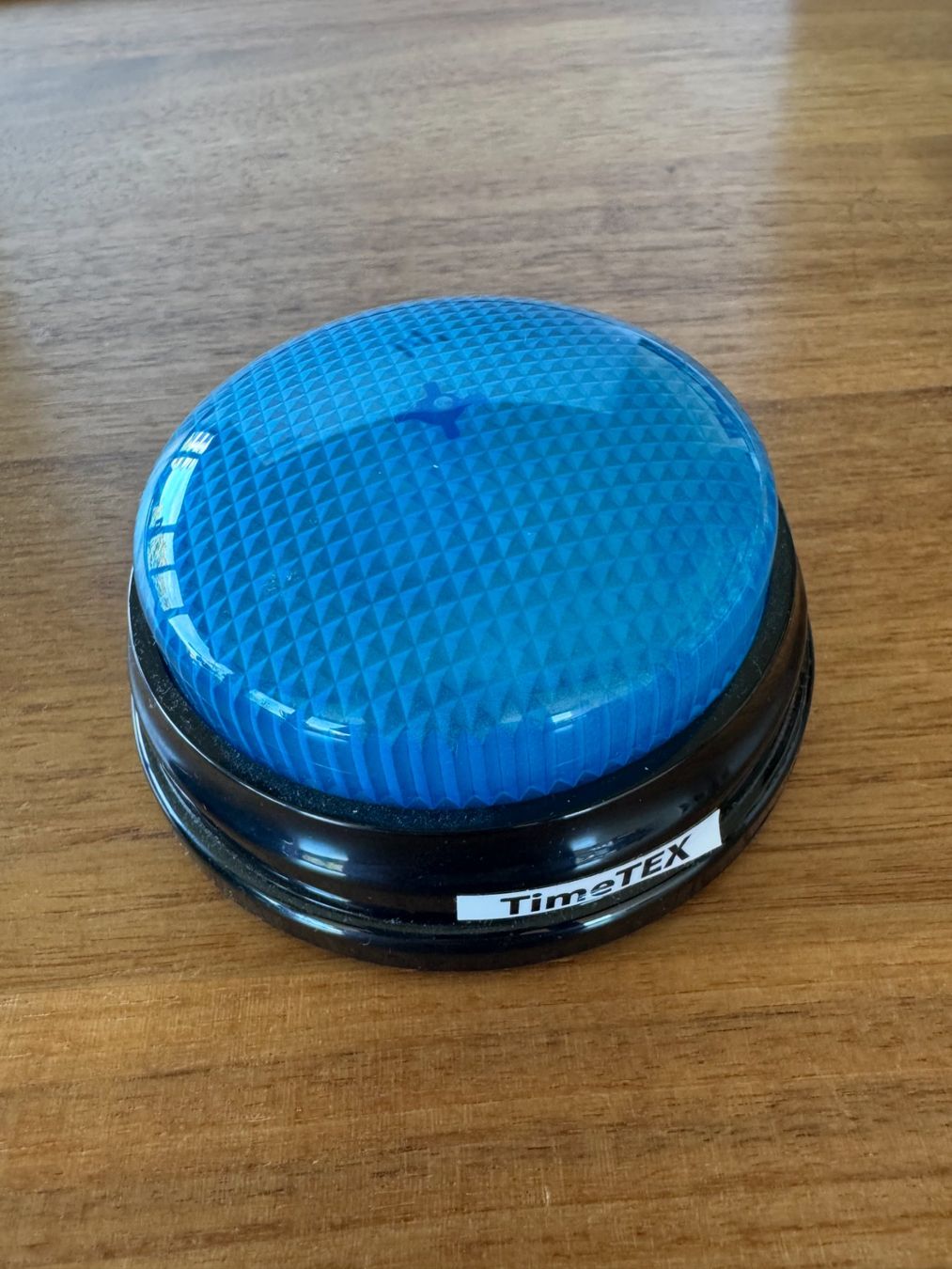 Spielzeuge: Buzzer TimeTEX / Learning Resources Signalgeber blau – Gebraucht aus Zürich von muxamsonntag