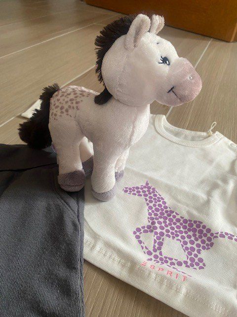 Lotti & Set di vestiti: neues Babyset Gr. 62 "Rössli" – Nuovo (secondo la descrizione) da Staufen venduto da Nasli