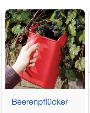 Tutti gli attrezzi: Beerenpflücker – Usato da Bern venduto da tar_hm7j 3