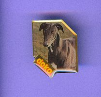 Hunderasse    GREYHOUND