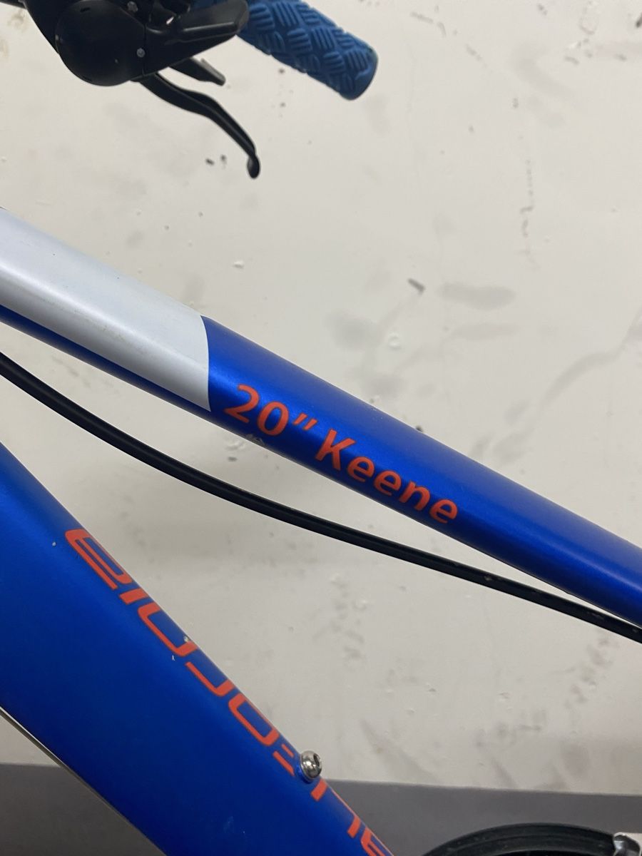 Biciclette: Kindervelo 20 Zoll – Usato da Benken SG venduto da lefiro 2