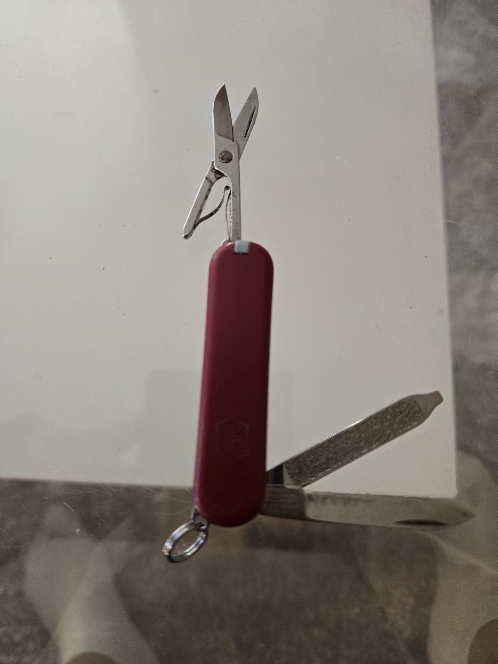 Victorinox Coltelli tascabile: Victorinox Taschenmesser – Usato da Bussigny venduto da Kfdlt