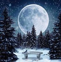 Diamond Painting Winterlandschaft (73)