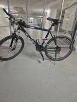 Herren Velo