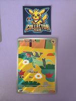Pokemon Grolldra Illustration Rare Ascendet Heroes Rare