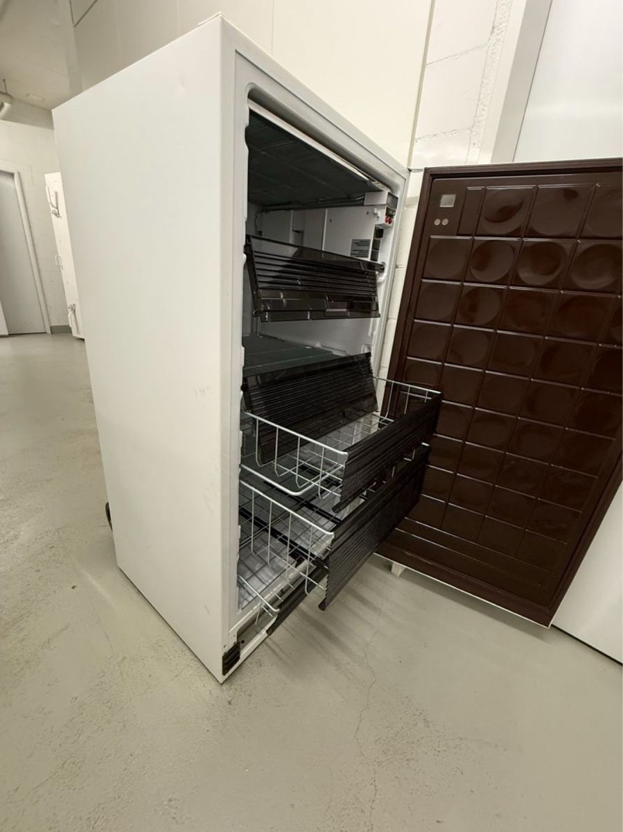 Congelatori: Electrolux Gefrierschrank mit Schubladen – Usato da Uster venduto da sil_6ndz 1
