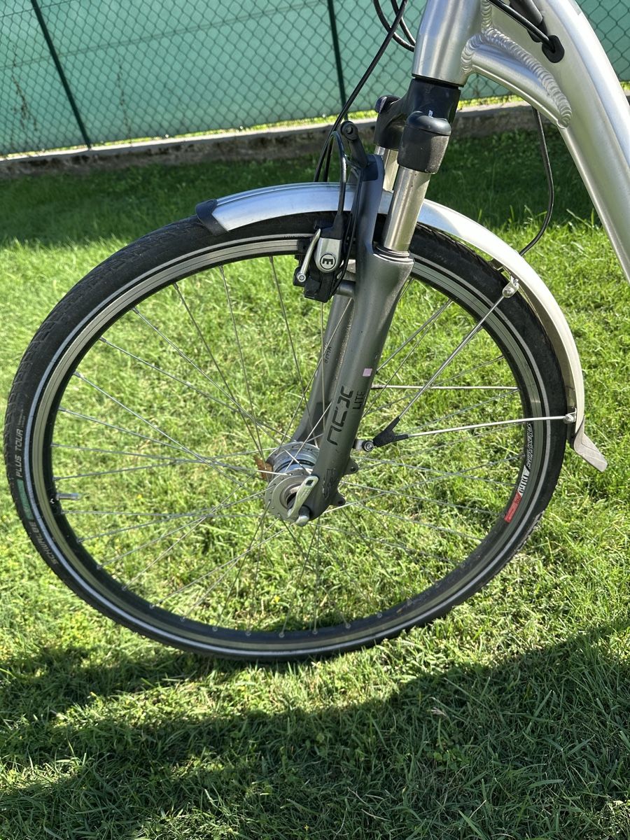 Flyer Biciclette: Auktion e-bike Flyer 36v defekt  – Difettoso da Quartino venduto da DiloUsato 7