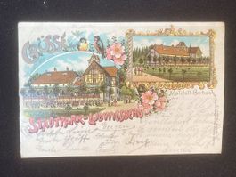 antike Postkarte  -Stadtpark  Ludwigsberg -1899