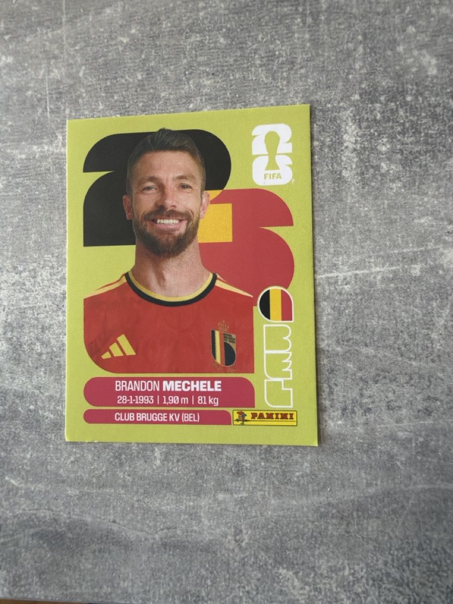 Panini Carte collezionabili: Panini Brandon Mechele BEL6 – Usato da Pfeffingen venduto da Fantasy1971