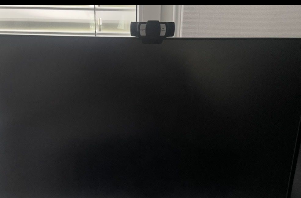 Logitech Webcams: Kamera Logitech C920S Pro – Gebraucht aus Münchenbuchsee von ana_6vx7