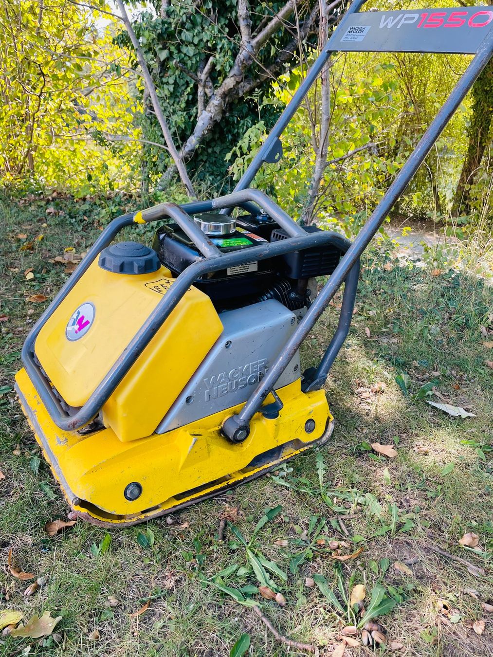 Wacker Neuson Tutte le macchine: Vibroplatte Rüttelplatte Wacker Neuson / Honda – Usato da Dietikon venduto da L.L_GmbH 2