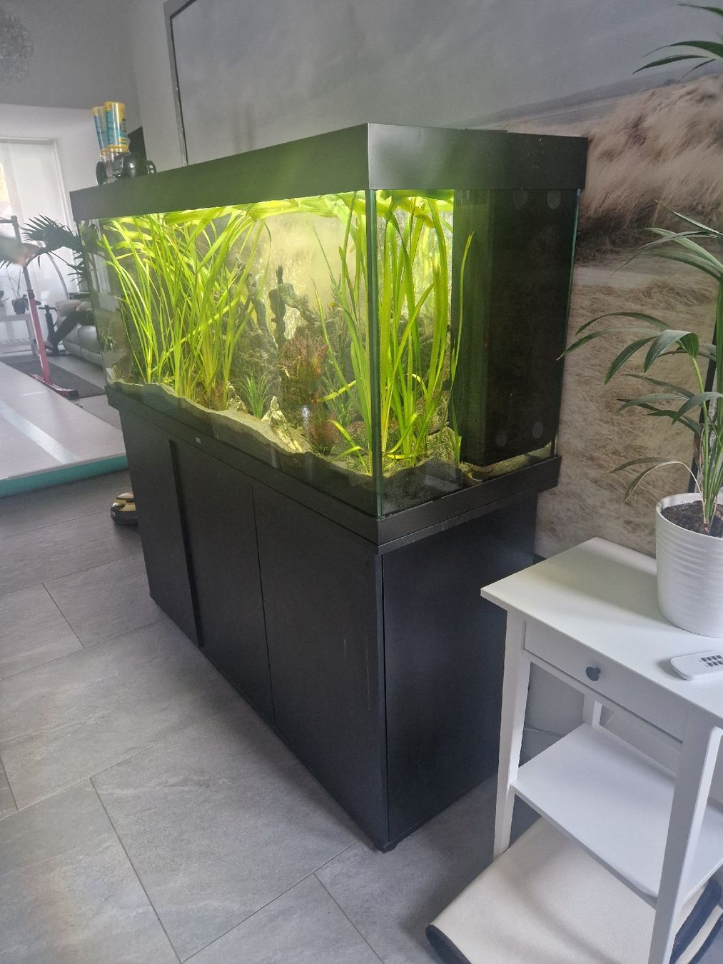 Juwel Aquarium: Juwel Rio 450 Koplett Set – Gebraucht aus Etzgen von kor_mq6d 1
