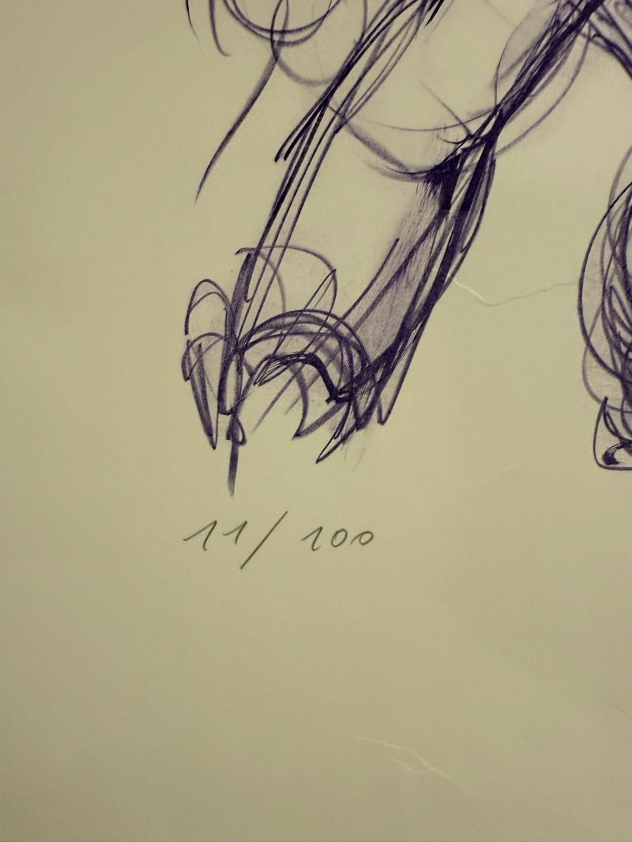Grafica & Litografie: Mario Comensoli LITHOGRAPHIE – Usato da Solothurn venduto da NUVICO 3