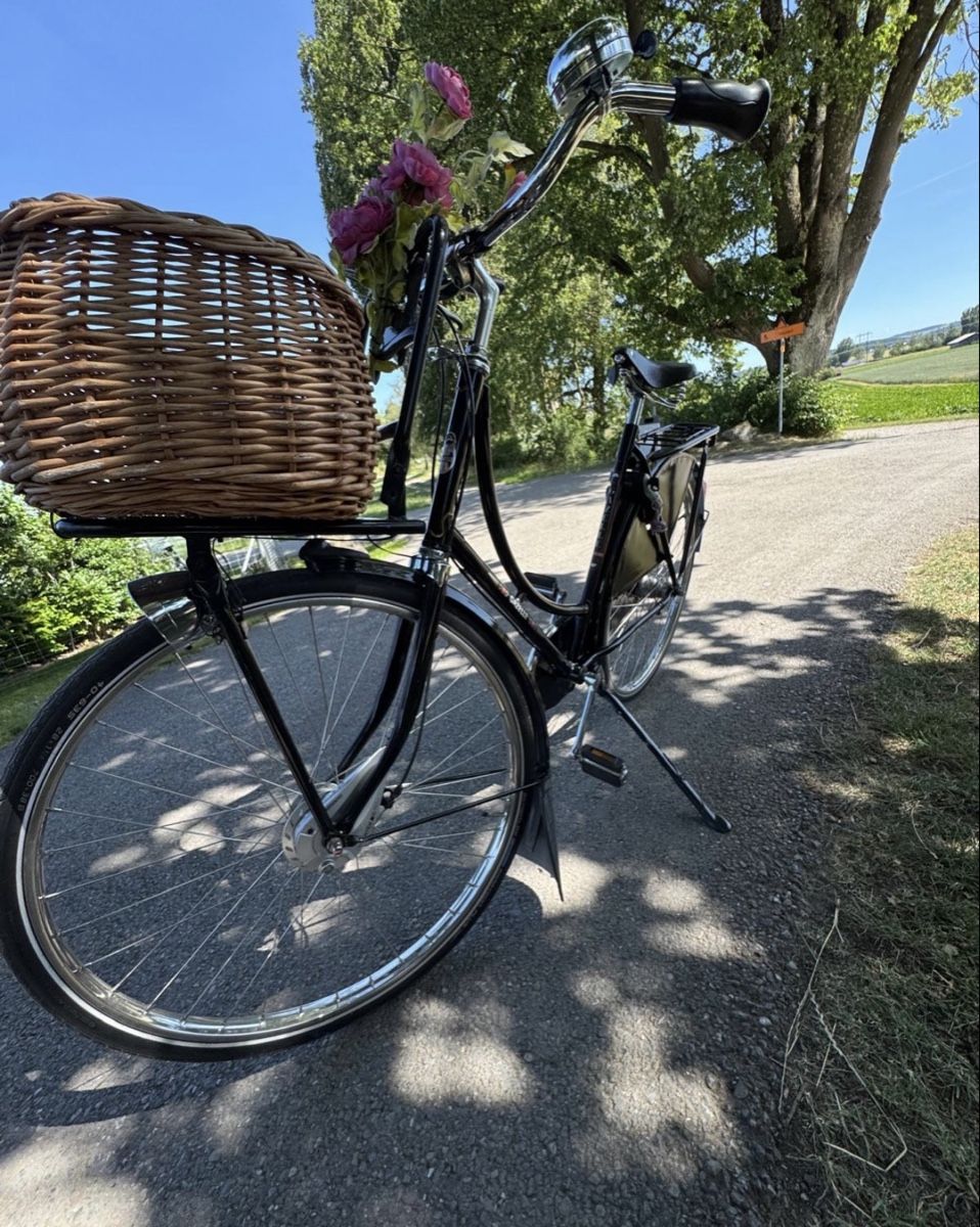 Gazelle Biciclette: Gazelle Hollandvelo Popular C7 – Usato da Fällanden venduto da Caramel7 9