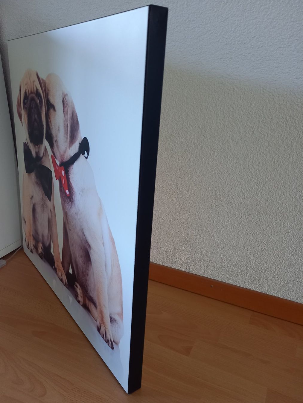 Foto & Immagini: Süsses Leinwandbild mit Mops-Welpen, ca. 76 x 76 cm – Usato da Obernau venduto da Corolli 3