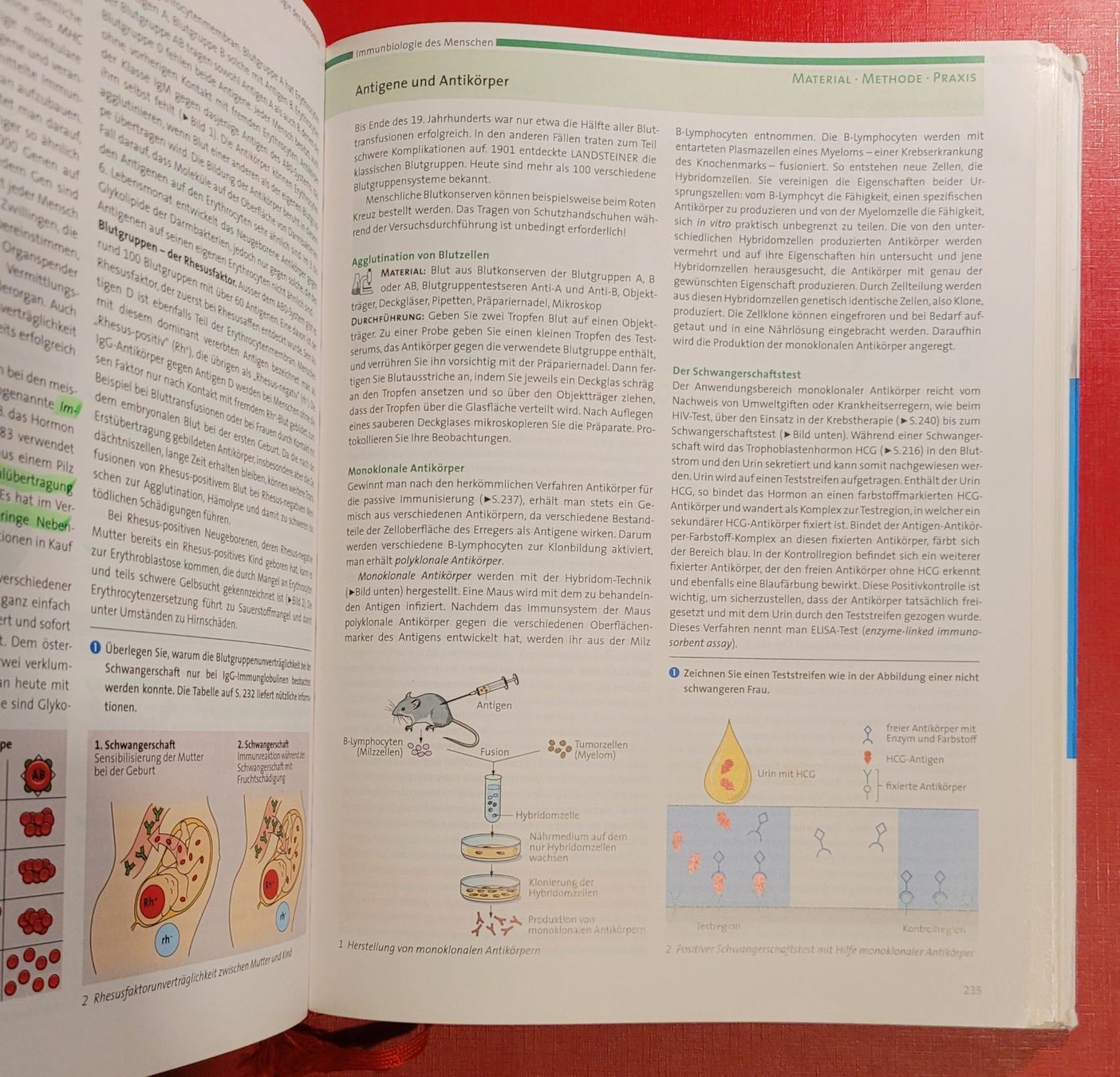 Libri: Biologie -  Schulbuch gebraucht – Usato da Zürich venduto da Avd 4