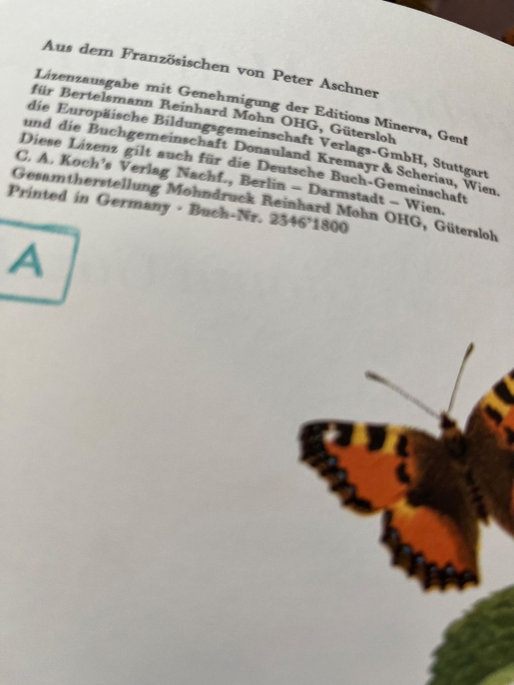 Libri: Die wunderbare Welt der Schmetterlinge -  Gianni Gozzi – Usato da Stetten AG venduto da Brissago25 2