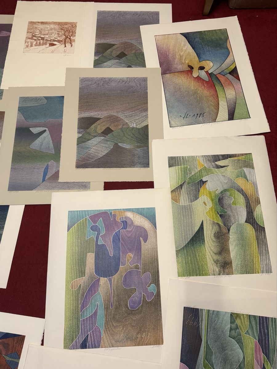 Grafiken & Lithographien: Lithos Hand signiertes Bilder 15 stk.  – Gebraucht aus Schlieren von Freundlich02 5