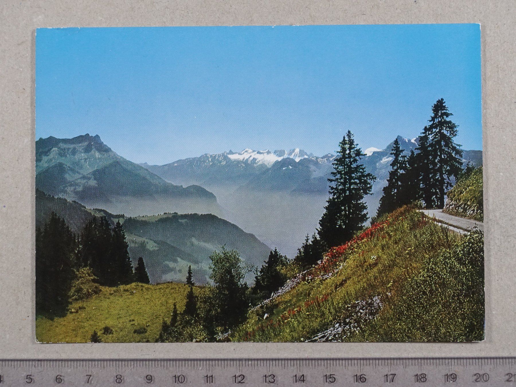 Cartoline postali: Leysin, 1984, Dents du Midi – Usato da Lenzburg venduto da fh1