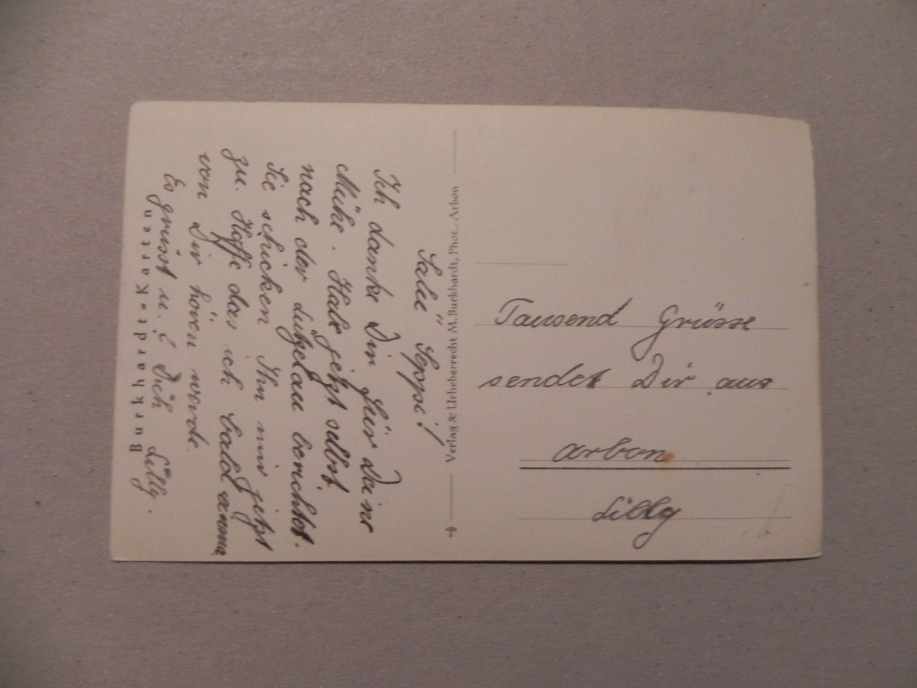 Cartoline postali: Ansichtskarte Arbon Photo Max Burhardt – Usato da Siebnen venduto da krimsie 1