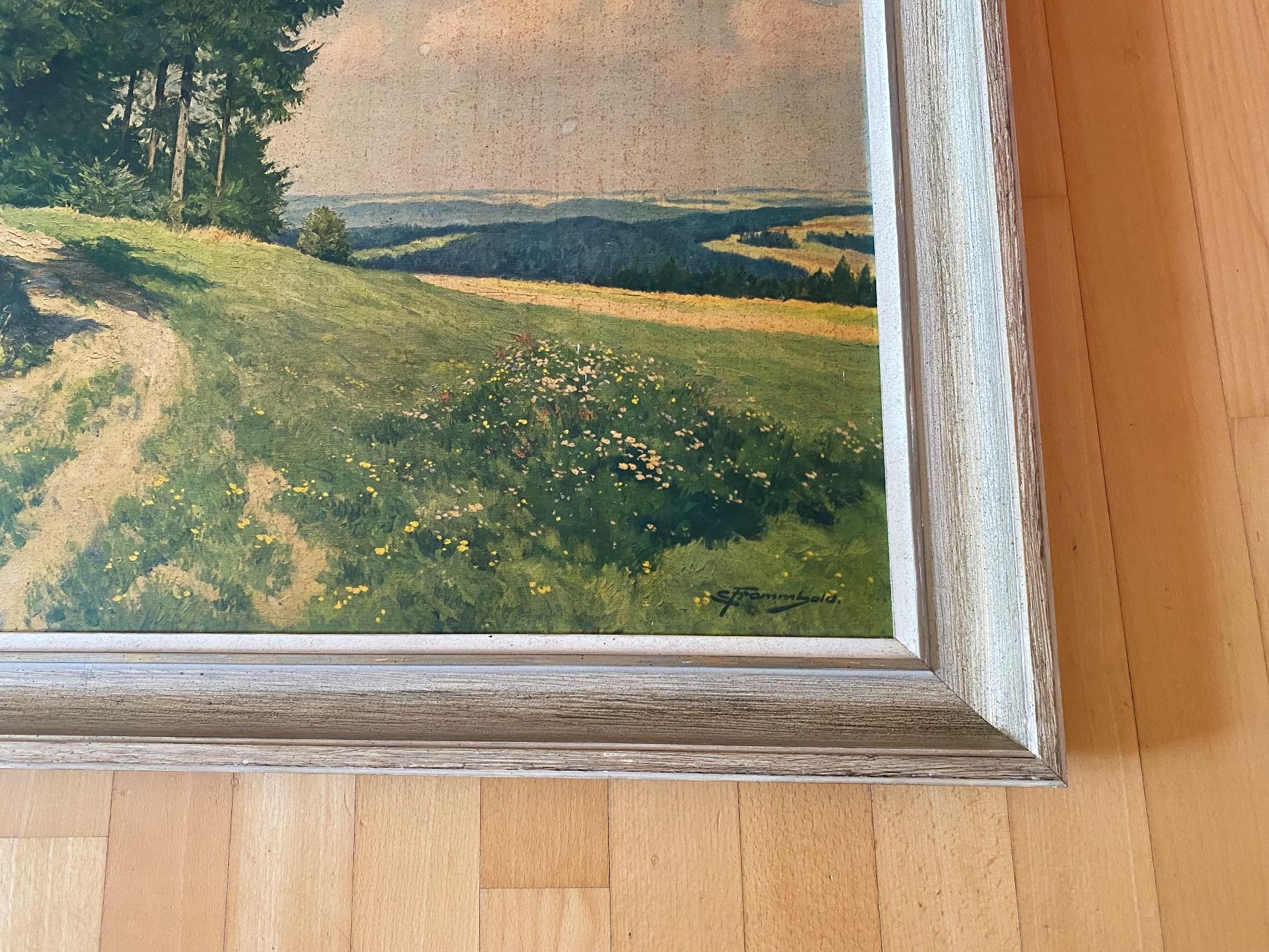 Cornici: Bilderrahmen (77x105 cm) mit Landschaftsbild – Usato da Wallisellen venduto da skorpion-11 1