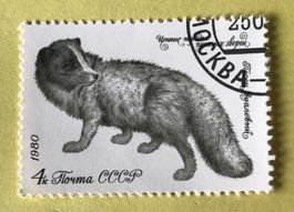 Briefmarken aus Sowjetunion (CCCP) gestempelt Siehe Original