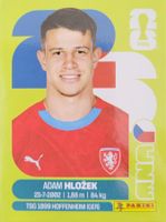 Panini FIFA World Cup CZE 19