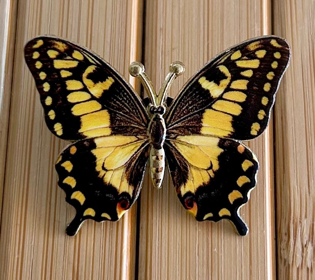 Plaquettes & Badges: Pin Schmetterling – Neuf avec emballage d'origine à Geneve par vane267