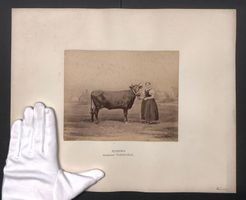 Fotografie Internationale Landwirtschaft