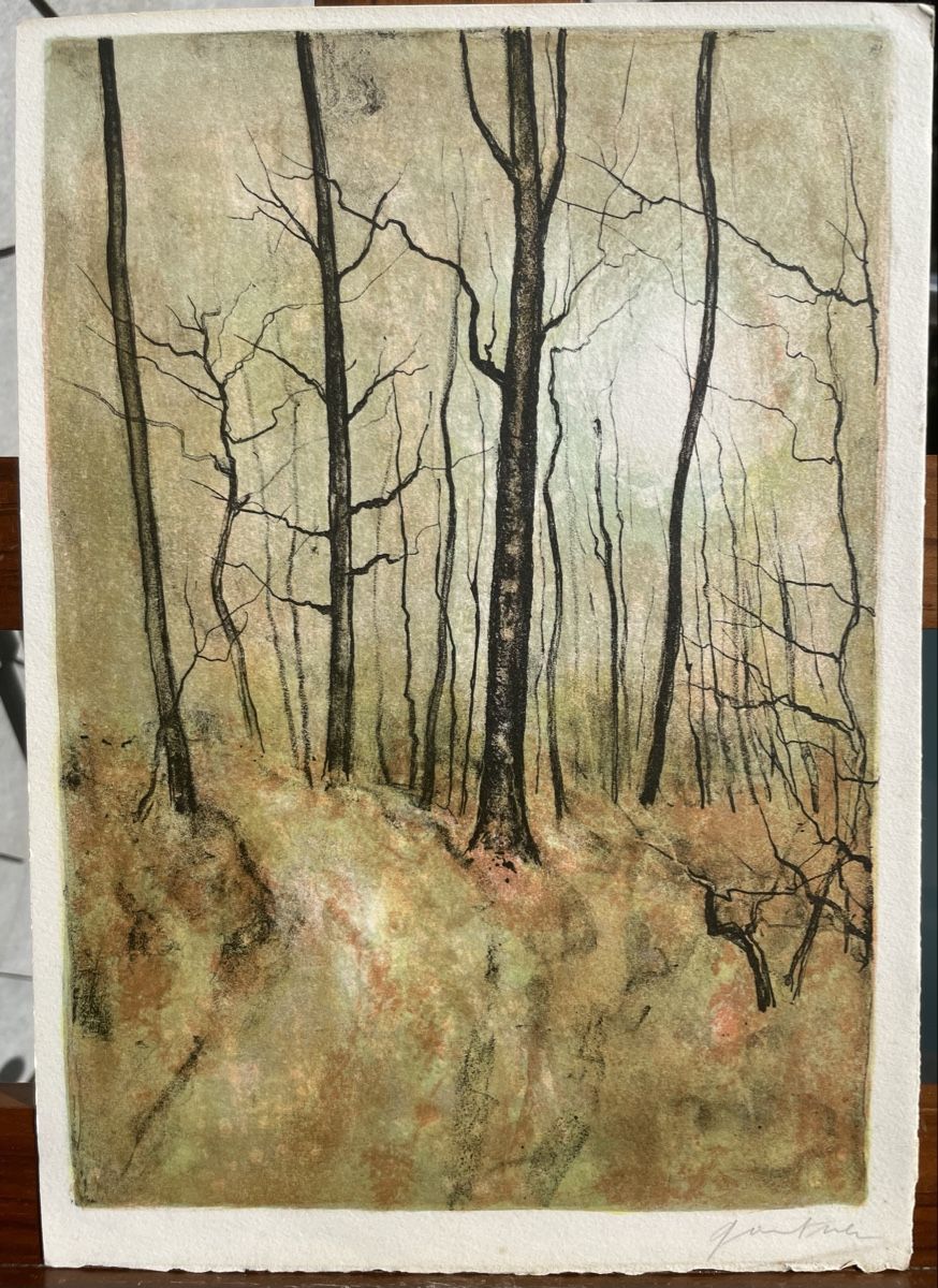 Grafica & Litografie: Bernard Gantner lithographie couleurs – Usato da Biel/Bienne venduto da Galaq 1