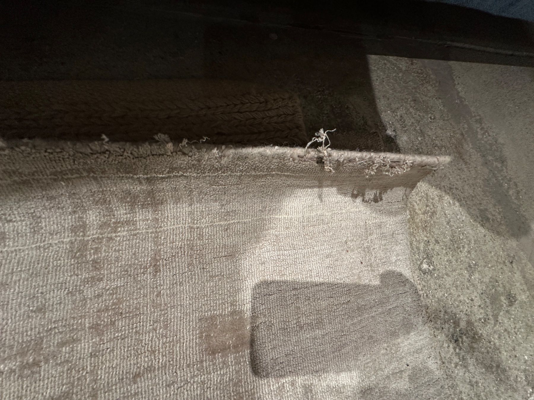 Sofacompany Teppiche: Teppich - Stone Grey 170x240 – Gebraucht aus Bern von Sofa_Company_Bern 1