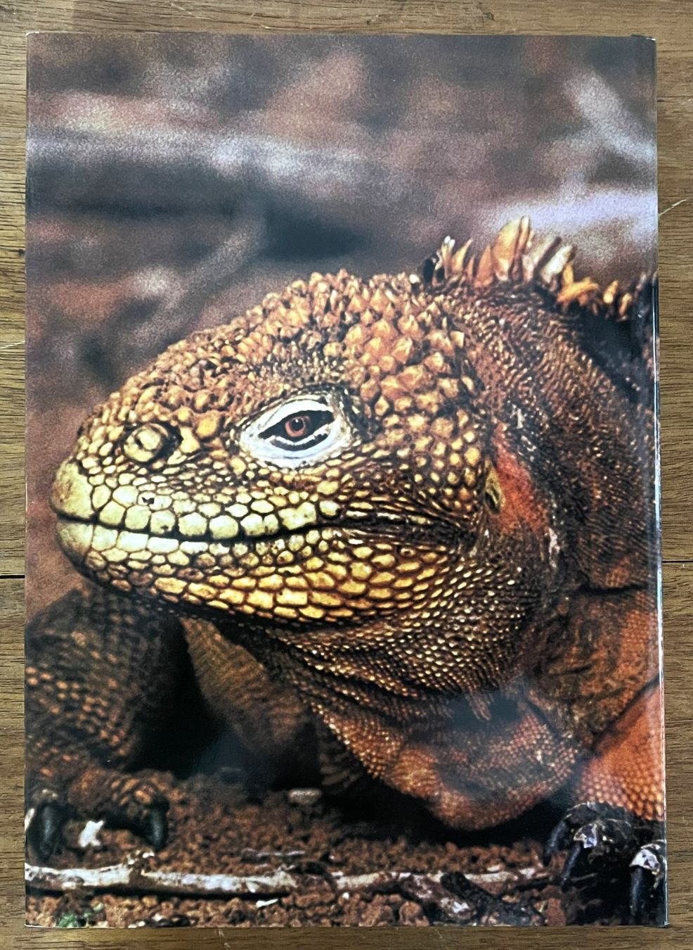 Libri: Silva Verlag, Zoo Galapagos, 1973 – Usato da Oftringen venduto da Vucki 9