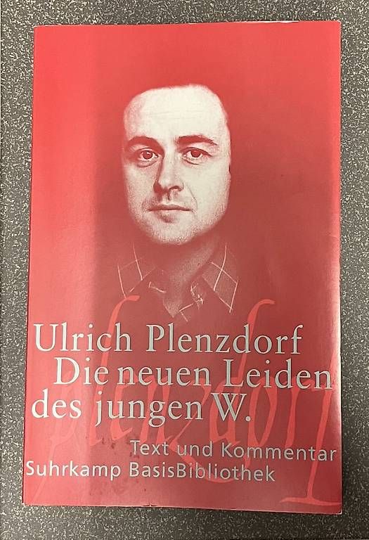 Libri: Die neuen Leiden des Jungen W. – Usato da Basel venduto da Ilakija.mo