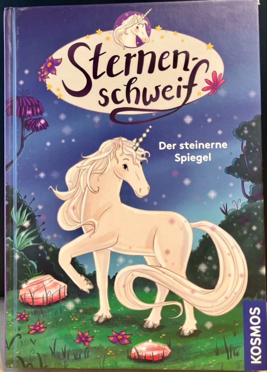 Bücher: Sternenschweif Der steinerne Spiegel Kinderbuch – Gebraucht aus Steffisburg von Afrika82