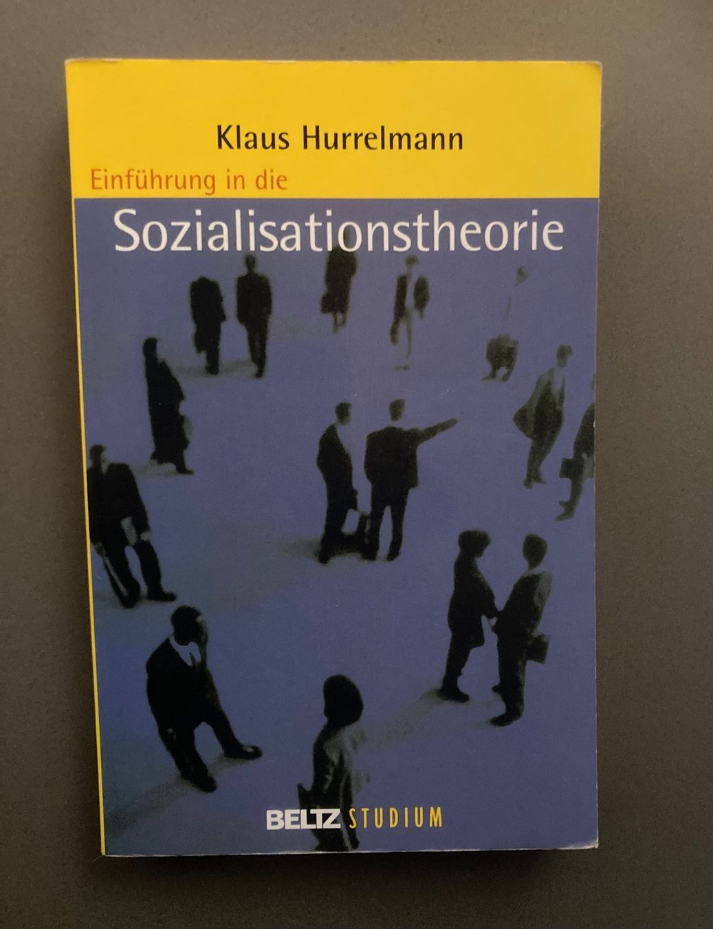 Bücher: Einführung in die Sozialisationstheorie – Gebraucht aus Soglio von 111Luna111